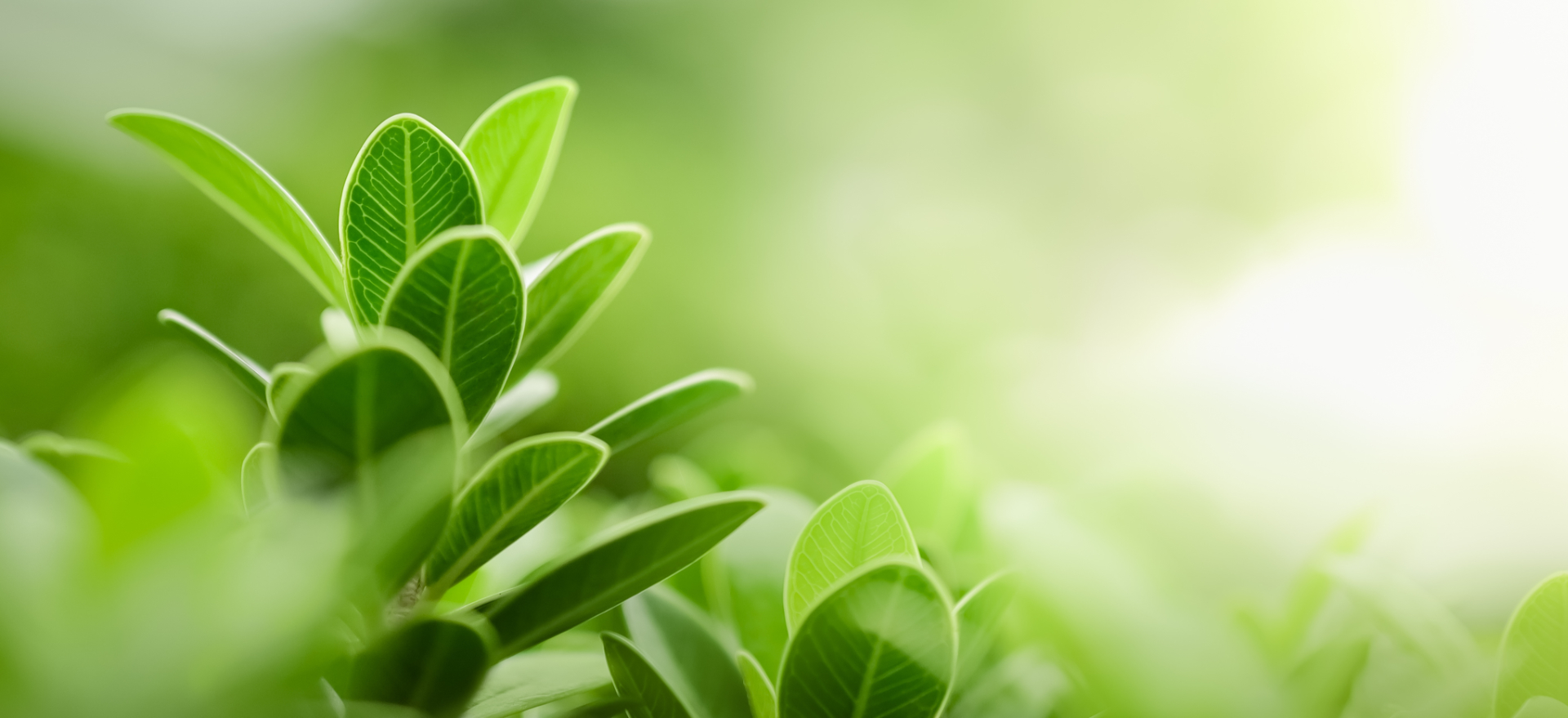 Clarity & Growth: Counselling and Tutoring Services