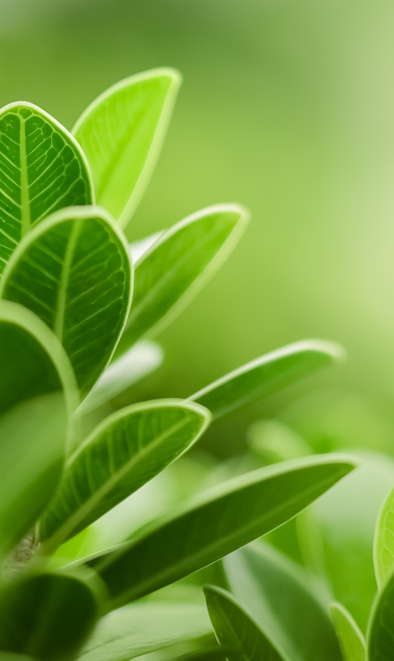 Clarity & Growth: Counselling and Tutoring Services